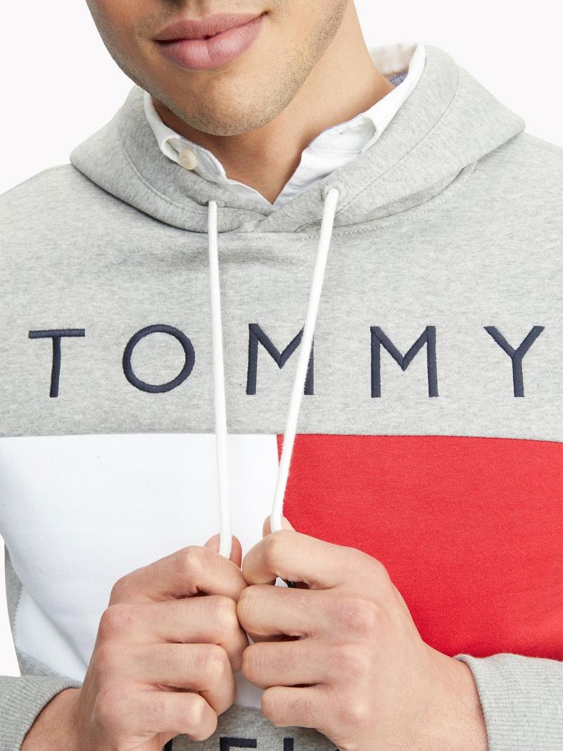 Férfi Tommy Hilfiger Essential Logo Hoodies Szürke | HU 1223SGL